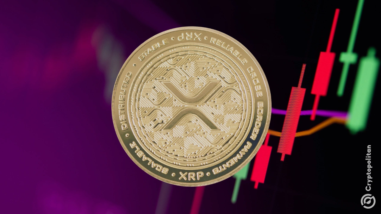 XRP上扬势惊人，一夜飙升26.37%，加密市场沸腾